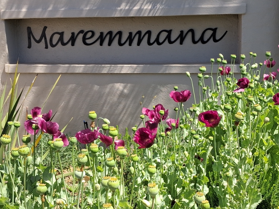 3 Bedroom Property for Sale in Maremmana Estate Western Cape